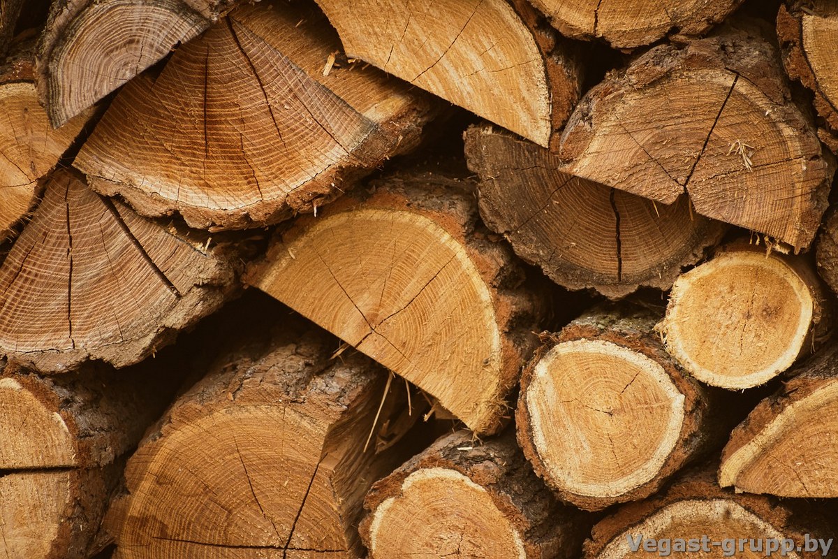 Совет по хранению дров