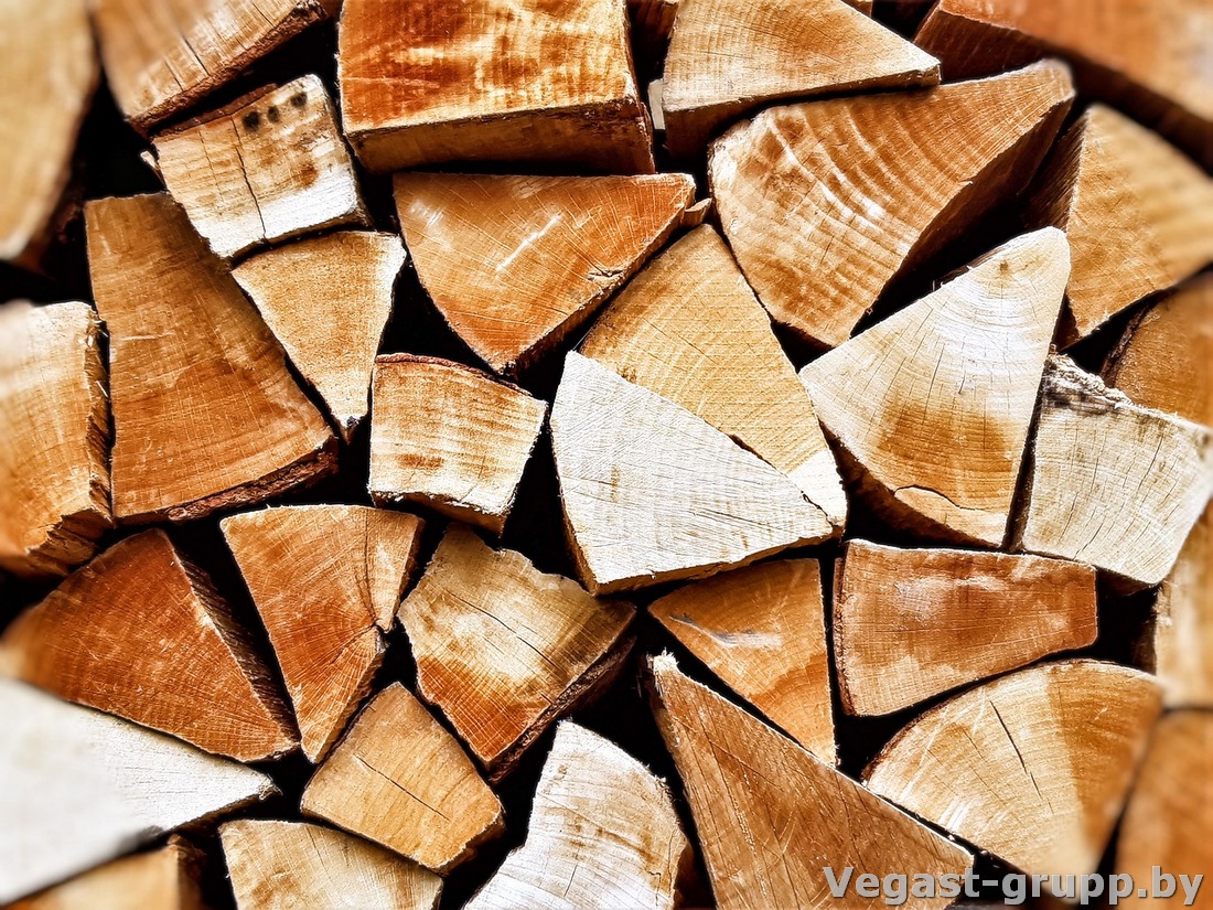 Покупайте дрова в приличном состоянии